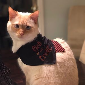 Meet your Posher, Jen